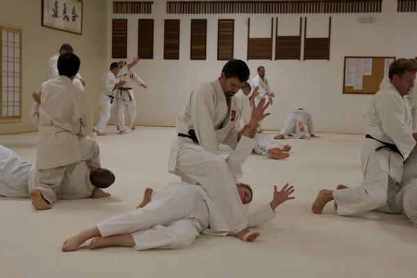 Aikido style pinning technique in front, throwing technique about to happen in back.