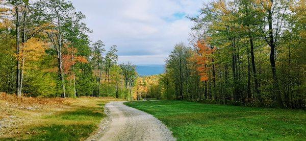 Bristol Mountain in the Fall, Bristol NY