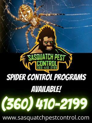 SPIDER SERVICES