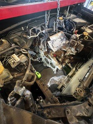 Subaru head gaskets. 
Water pump and timing belt specials