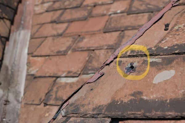 Young Slate Roofing