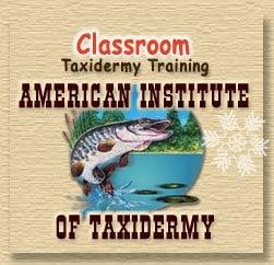 Rinehart Studio-American Institute of Taxidermy