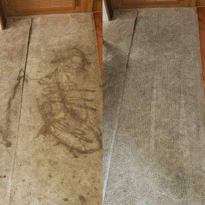 RV Carpet Cleaning