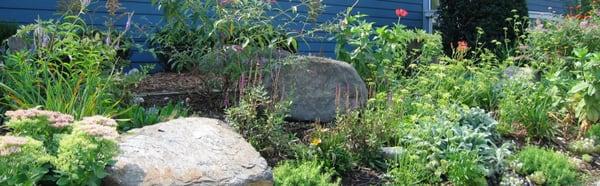 Mix of perennials and annuals makes this a lovely butterfly garden for a local real estate office.