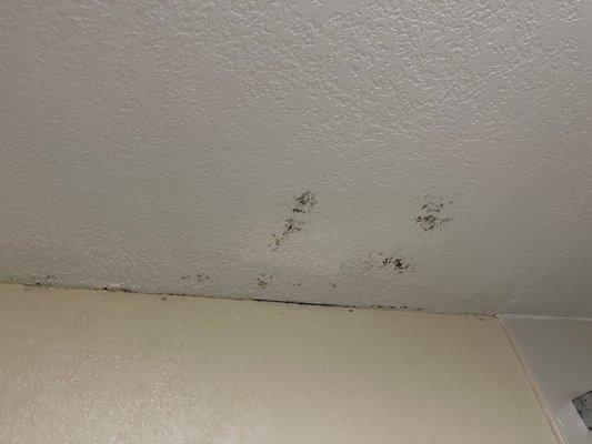 Black spots on ceiling