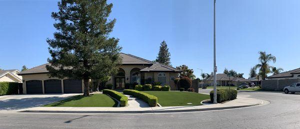 Front yard artificial turf