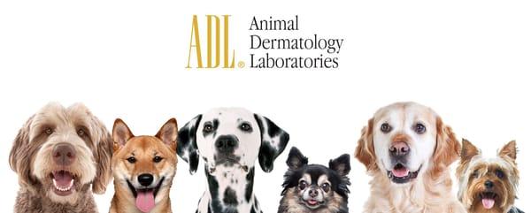 Animal Dermatology Laboratories