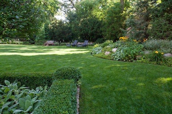 Yard Maintenance and Design