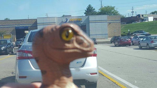 Bob the Raptor Says "Cars come here to get shoes."