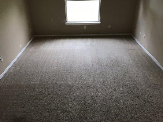 Carpet professionally cleaned