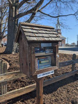 Little Free Library, Pecan Park Statesville