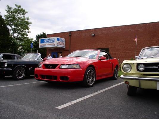 Mustangs from the Great American Pony Drive