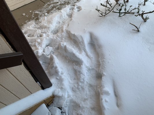 Base of stairs covered in snow.