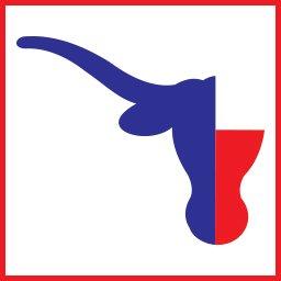 Texans Insurance Agency