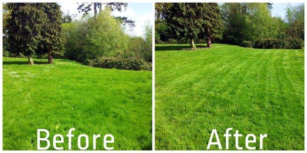 Before and after weekly lawn mowing services