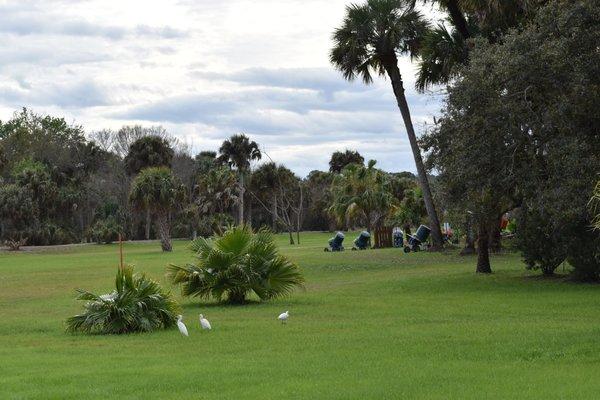 Enjoy the wildlife on the sporting clay courses!