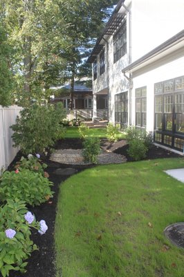 Rain Garden