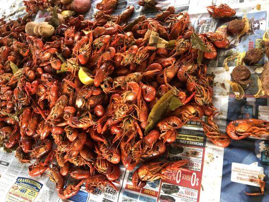 Catered crawfish boils available in the comfort of your home.