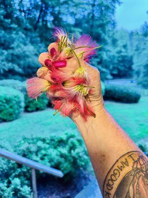 Showing off my chrome nails and mimosa flowers!