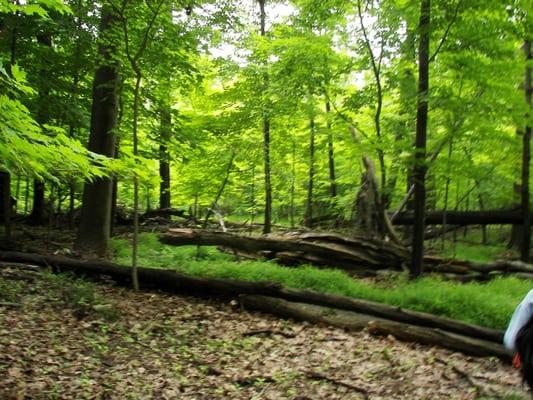 The City of Mentor has more than 1,200 acres of park land with miles of hiking trails.