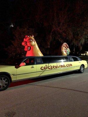 Chicken limo