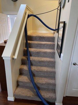 Taking care running the hoses up the stairs so they don't damage the walls.