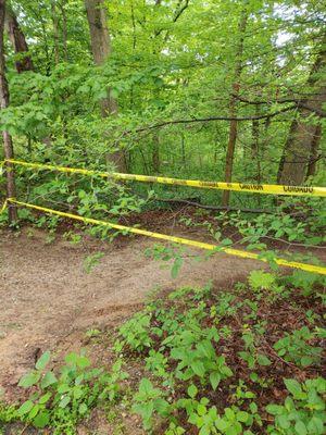 Trout Lilly trail closed