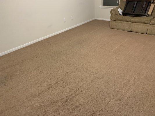 Residential Carpet Cleaning (After)