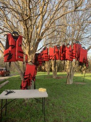 Do lifejackets really grow on trees? If only...