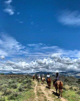 Vino Vaqueros Horseback Riding