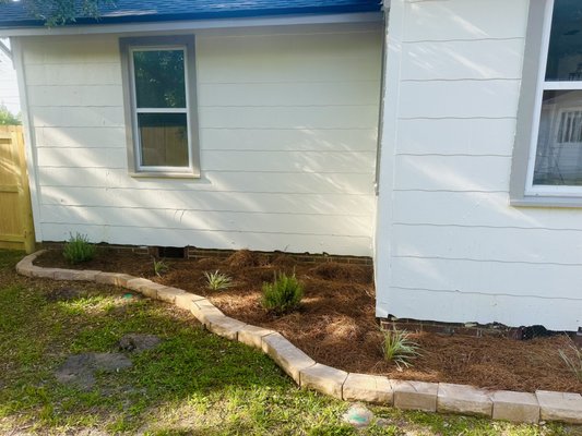 Pine straw bed