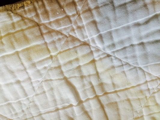 Pee stains on mattress pad