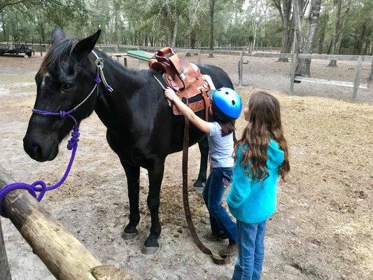 Riding students learning the basics