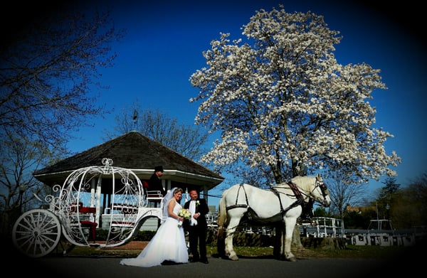 Cinderella Carriage 2 horses