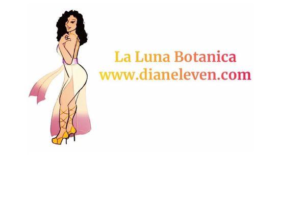 www.dianeleven.com