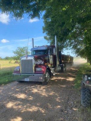 Semi load of turf