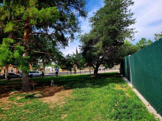 POV.of mini dog park