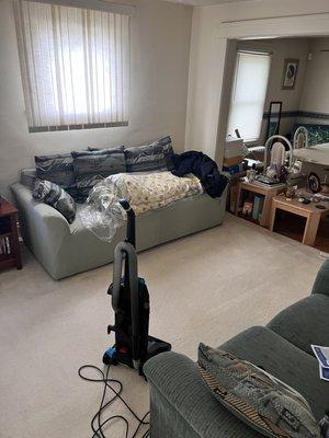 Carpet cleaning finish