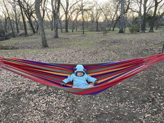 Hammock at the park