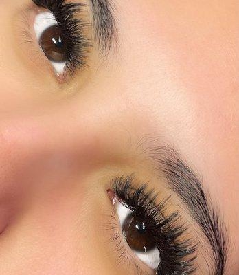 Wispy Lashes