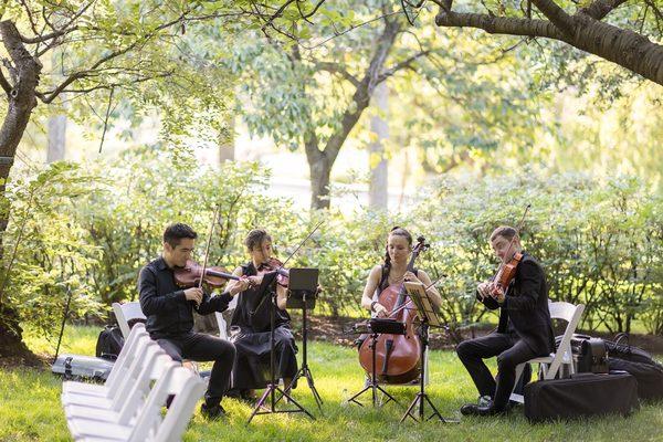 Highline String Quartet playing along the Cherry Walk at the Brooklyn Botanic Garden