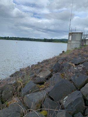 Fern Ridge From the dam area.