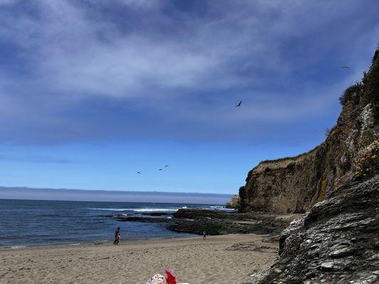 Davenport Landing Beach