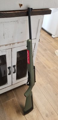 $249.99 for a .22 Rifle