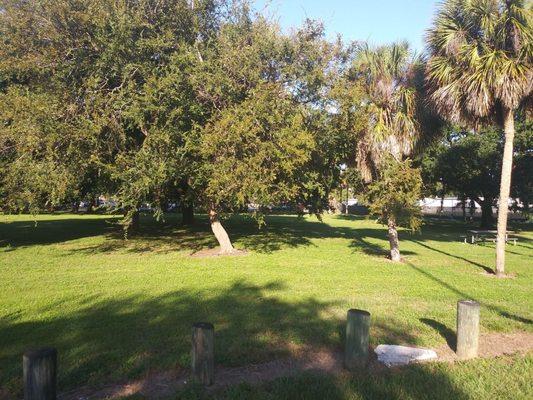 Green space with a few benches. Trees. Grass.