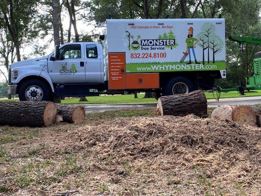 Monster Tree Service of Northwest Houston