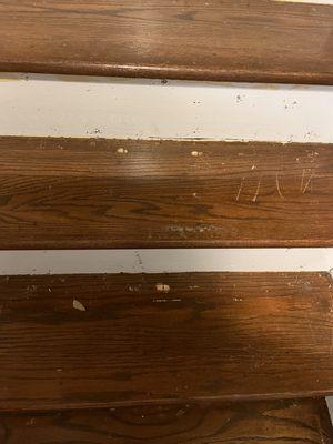 Scratched and gouges in stair treads