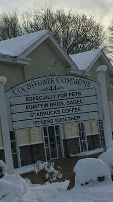 Cochituate Commons -- 44 Main Street, Junction of Routes 27 & 30, Wayland       Sign