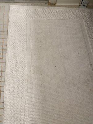 Hair on bath mat. Not vacuumed or shaken out!