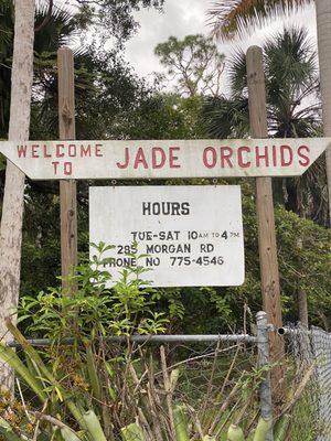 Jade Orchids